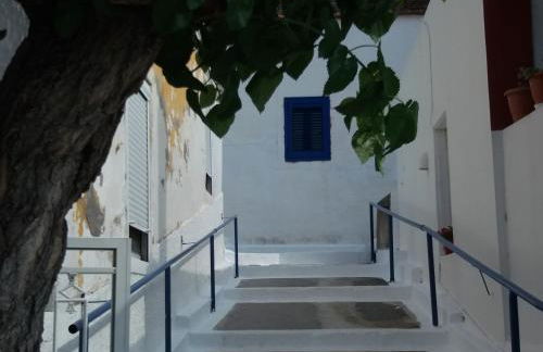 Stan&Family - Foto 53