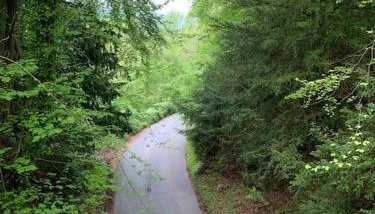 TheFunkyPigsty - Foto 4