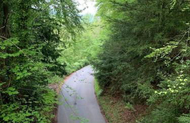 TheFunkyPigsty - Foto 4