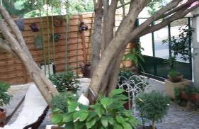 Cielito Lindo - Foto 32