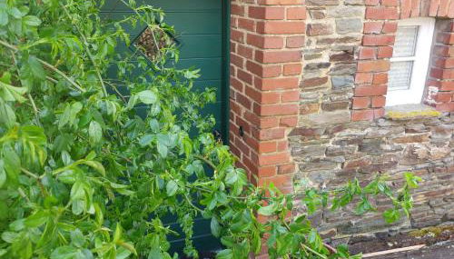 Belka am Rursee - Foto 3