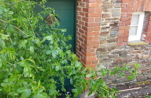 Belka am Rursee - Foto 3