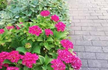 Ferienwohnung Einbeck FeWo B Nolte - Photo 61