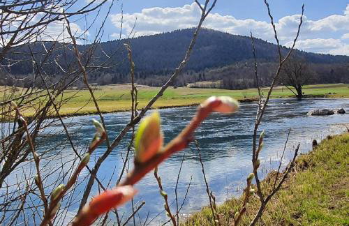 Apartmani Fenestra Tesla i Faust - Foto 34