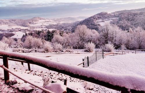 Agroturystyka Faron - Foto 40