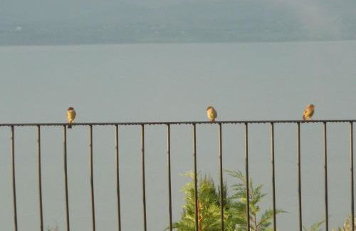 Villa La Moraiola - Foto 22