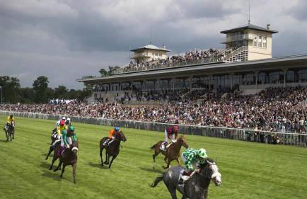 Charming bourgeois house – Précy town centre - Foto 31