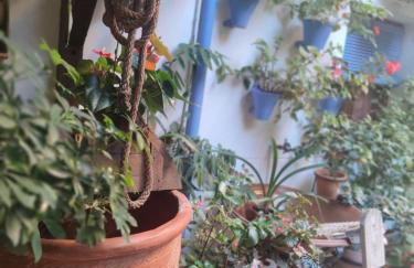 El Capricho de San Fernando, Consigna gratis y Parking a 200mts - Foto 76