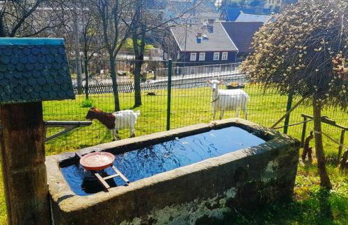 Kastanienhof - Photo 7