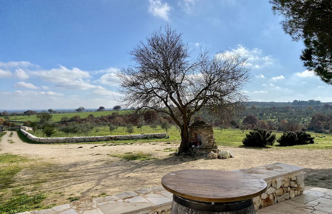 Tenuta del Grillaio - Foto 22