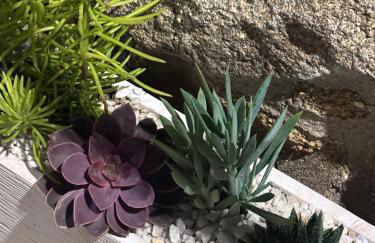 Casa Artista - Foto 29