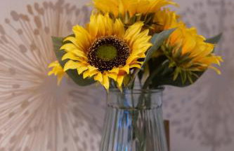 Skipton at Six - Foto 35