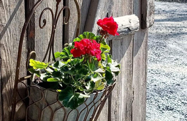 4 Person Holiday Home in Nykvarn - Foto 24