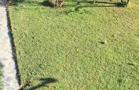 K & V apartments - Foto 38