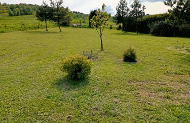 W Rajbrocie u Ewusi - Foto 12