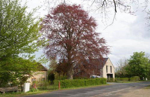 Ferienhaus Schleiharmonie - Foto 38