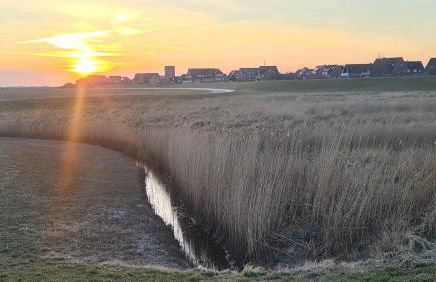 Seevilla Wietjes Whg 7 - Foto 26