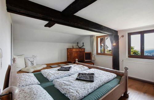 Black Forest Woods - Foto 13