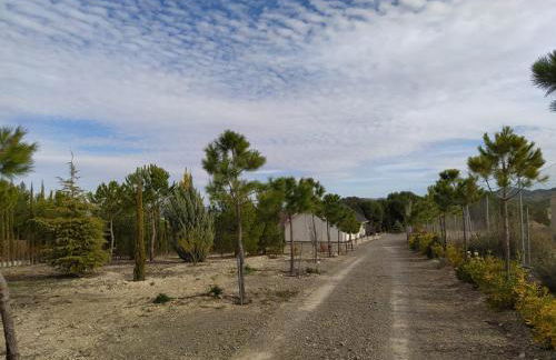 Quinta de Argos - Foto 35