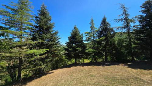 La Cavina 83 Località Fantella - Foto 3