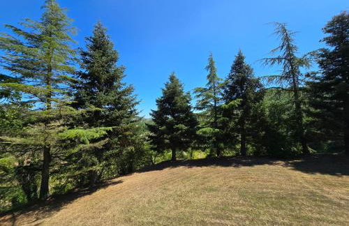 La Cavina 83 Località Fantella - Foto 3