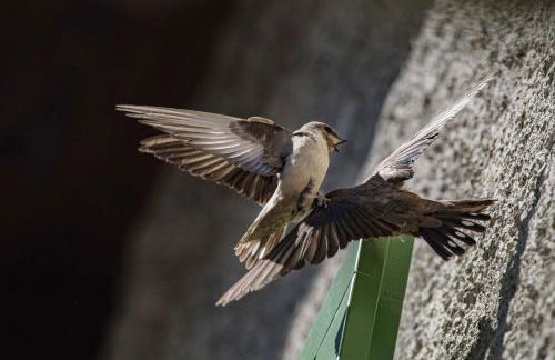 Casa Le Rondini - Photo 78