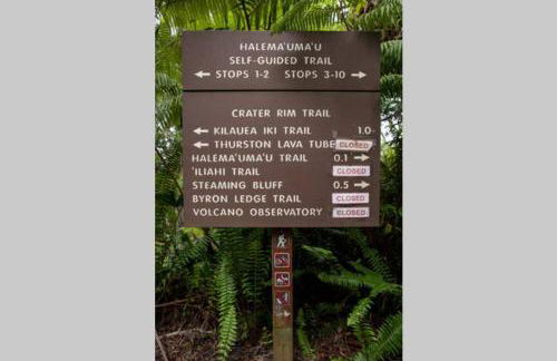 Ola'a House by Volcano Heritage Cottages - Photo 16