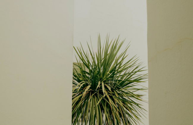 Bora Bora Apartamentos - Adults Only - Foto 12