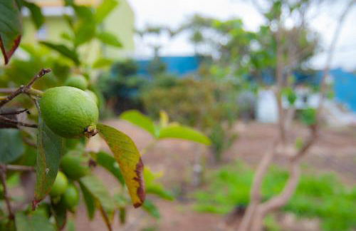 La Huerta de Manuel - Foto 11