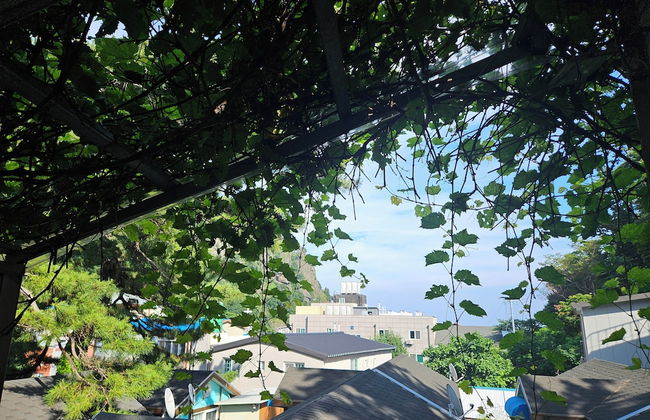 Ulleung Haeoreum Pension - Foto 70