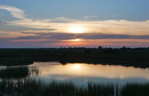 La Petite Maison - Foto 33