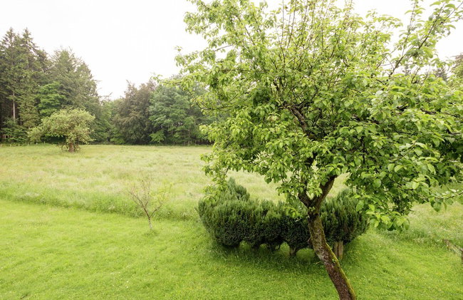 Rustic Retreat in Houvegne - Foto 24