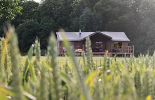 Snipe - Bleasdale - Foto 7