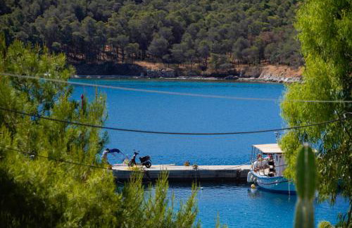 Casa olive - Foto 25