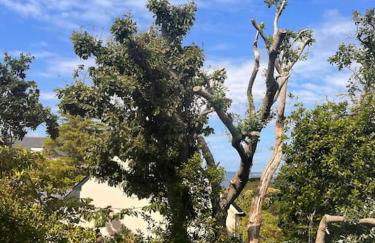 Maison bretonne rénovée à neuf - Terrasse plein sud - Proche plage - Foto 28