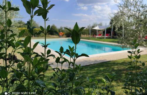 Casa Macinarino APPARTAMENTO 13 con piscina - Foto 5