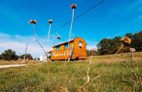 Le gîte d ici et d ailleurs Ariège Pyrénées - Foto 53