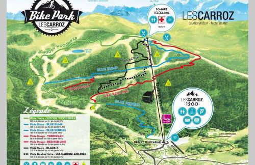 GREEN APPLE CARROZ Duplex WIFI Garage Balcon-Sud Vue Montagne - Photo 5