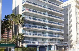 AG Turquesa Premium - Photo 74