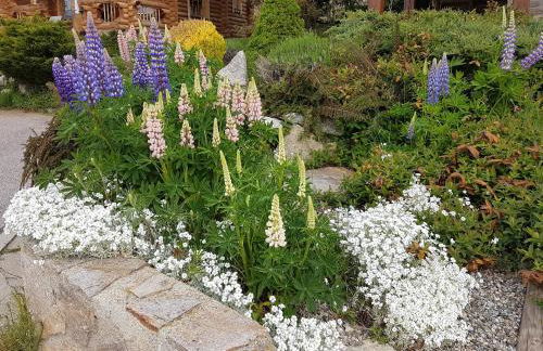 Chalet Rouge Sorbier - Foto 5