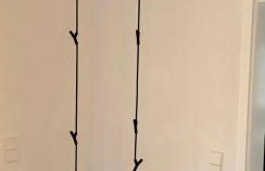 Moselfreunde Ellenz-Poltersdorf - Foto 3