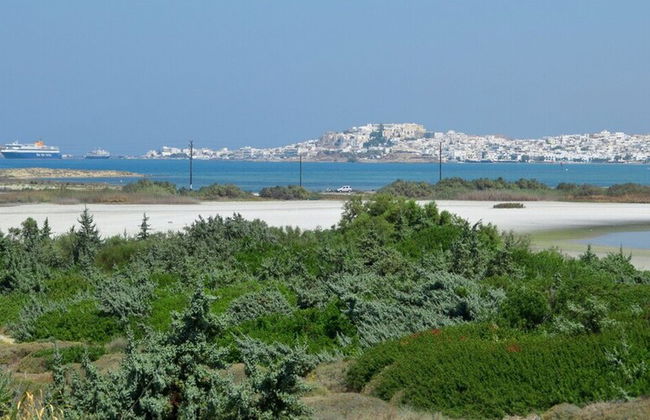 Fabulous Holiday Villa in Naxos Island - Foto 30