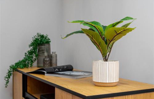 Apartamenty blisko Rynku "Kamienica" - Foto 18