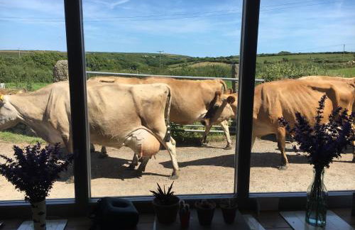 Trengothal Barn - Photo 26