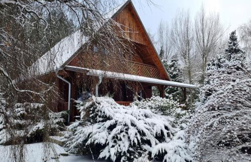 Sowa i Kumple - Foto 22