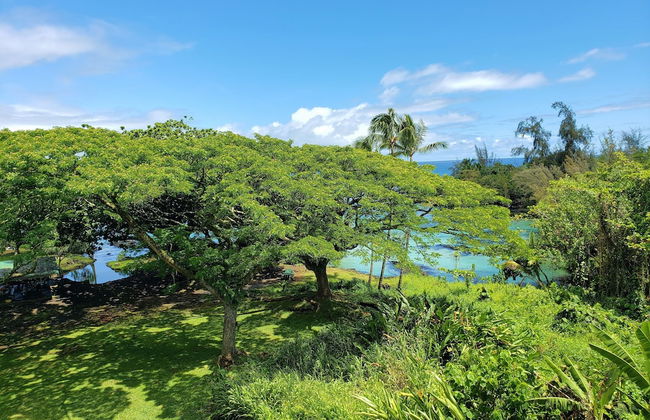 Mauna Loa Shores #405 1 Bedroom Condo by RedAwning - Photo 25