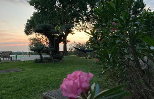 Villa Oliva Istria - Foto 36