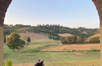 New apartment immersed in nature with pool - Foto 5