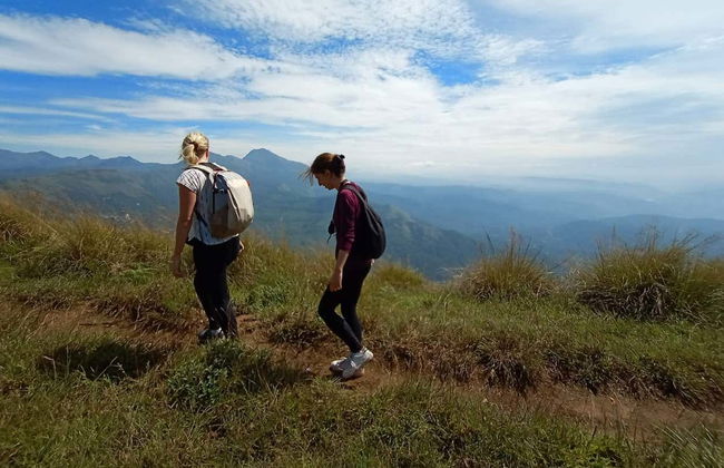 Tour privato delle cascate di Munnar in 4x4 - Foto 6