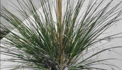 Apartment am Weinberg Kleinaspach - Foto 4